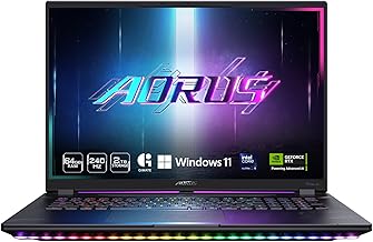 The laptop store picture.