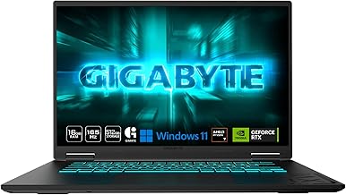 The laptop store picture.