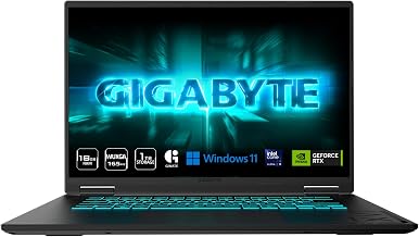 The laptop store picture.