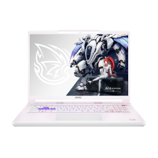 The laptop store picture.