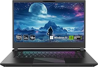 The laptop store picture.