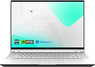The laptop store picture.