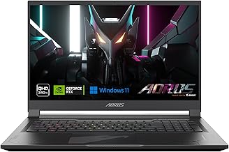The laptop store picture.