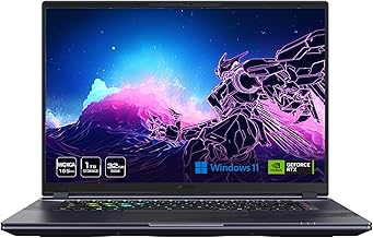 The laptop store picture.